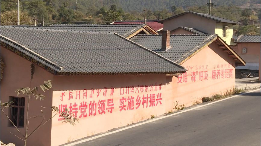 寨桥村最新项目，乡村振兴的新动力之源