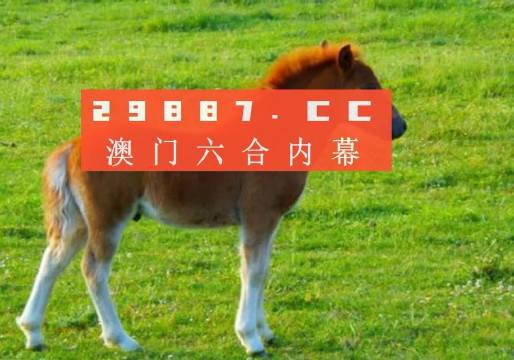 澳门必开一肖一码一中,实地验证设计解析