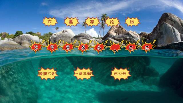2025新澳门天天开好彩,全部解答解释落实_S60.251