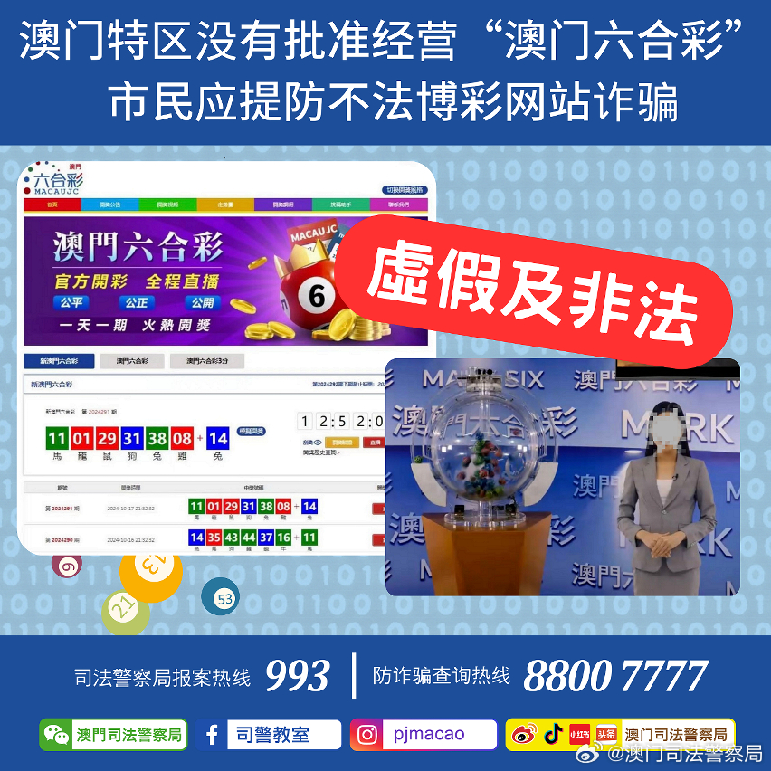 新澳门正版资料,专家说明解析_经典版98.359