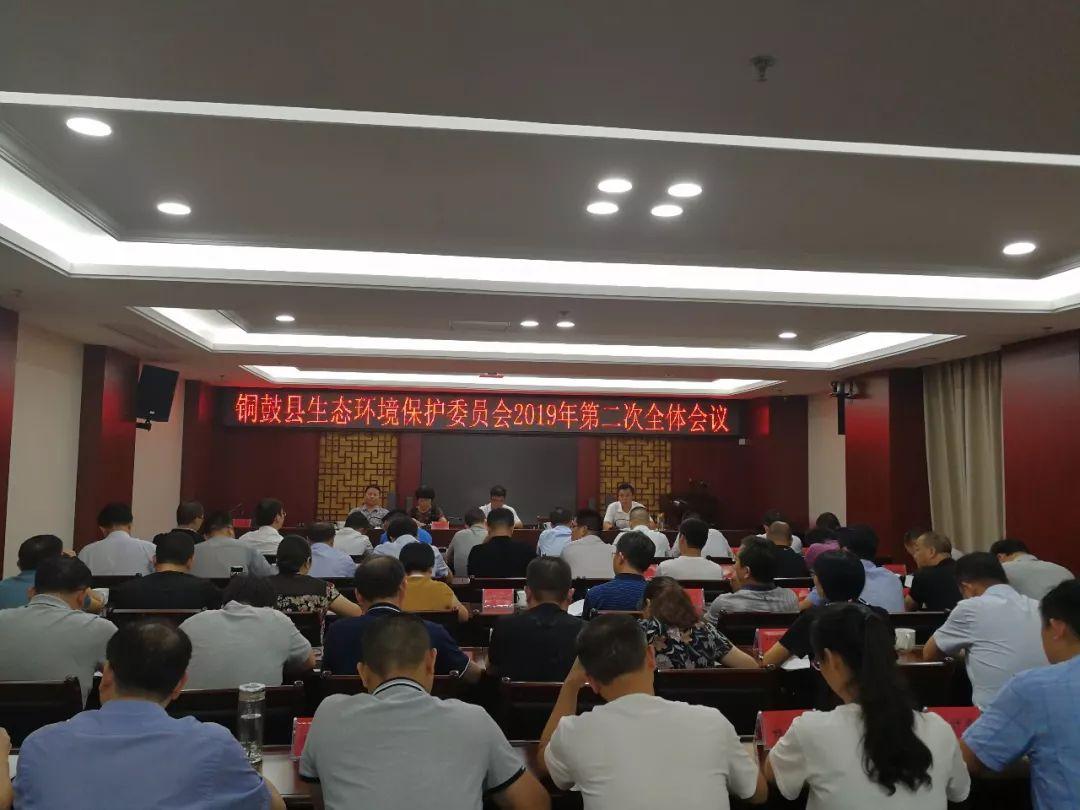 善颖初 第2页