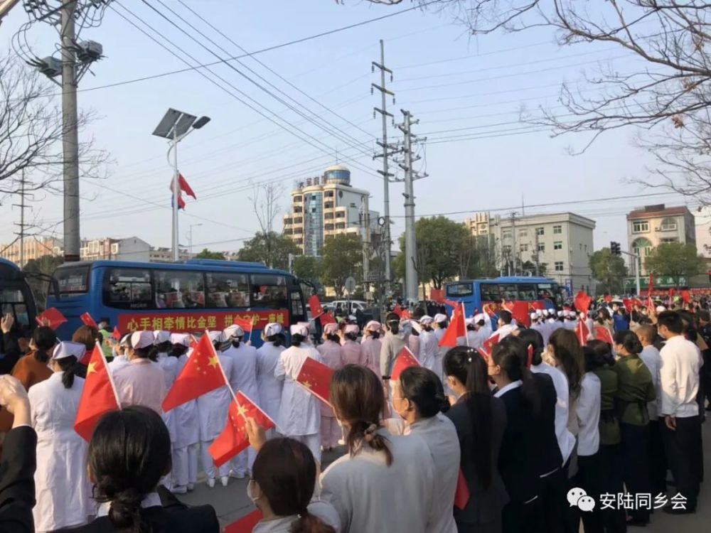 安陆最新疫情动态更新