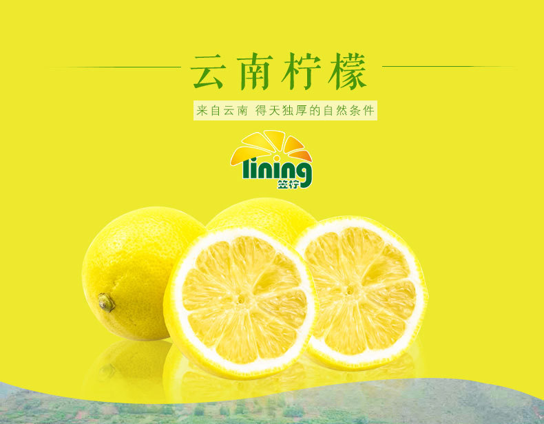 柠檬最新网站，引领健康生活的一站式平台