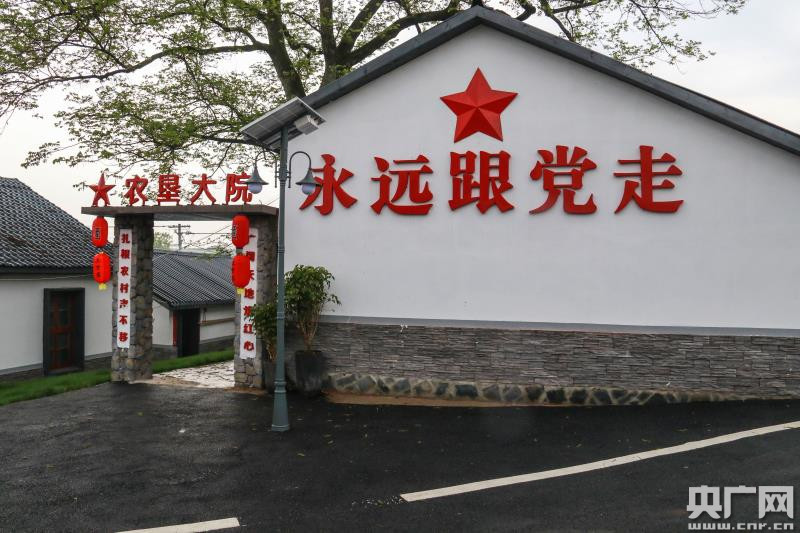 紫阳县农业农村局最新动态与新闻报告