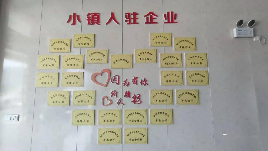 里山街道最新招聘信息全览
