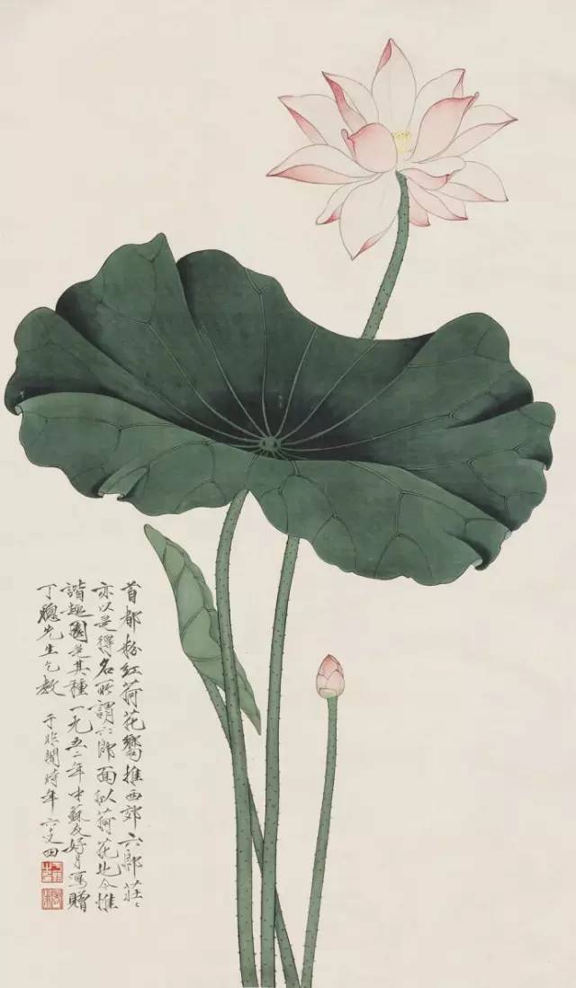 工笔画最新发展，传统与现代融合之美探索